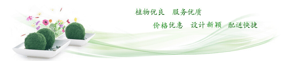 成都心怡花卉租賃有限公司網(wǎng)站banner